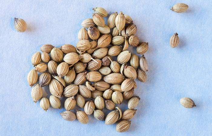 best coriander