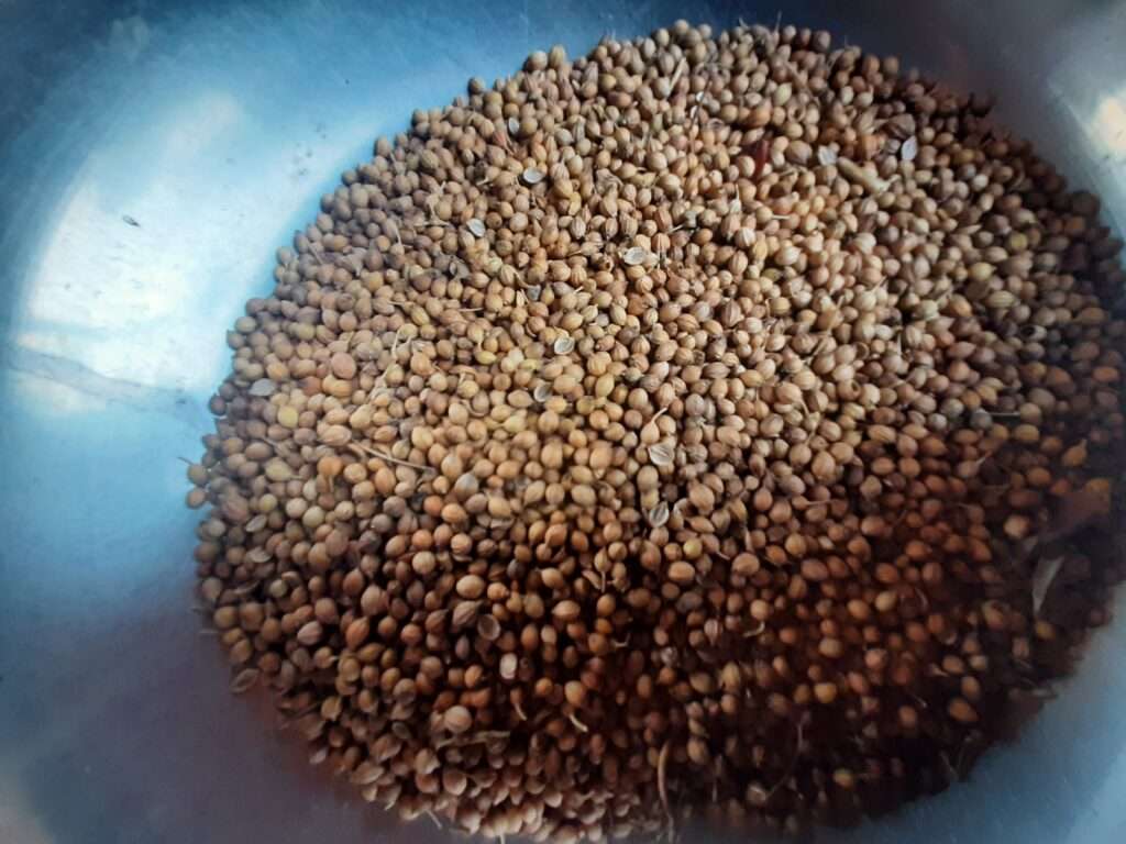 Best Coriander