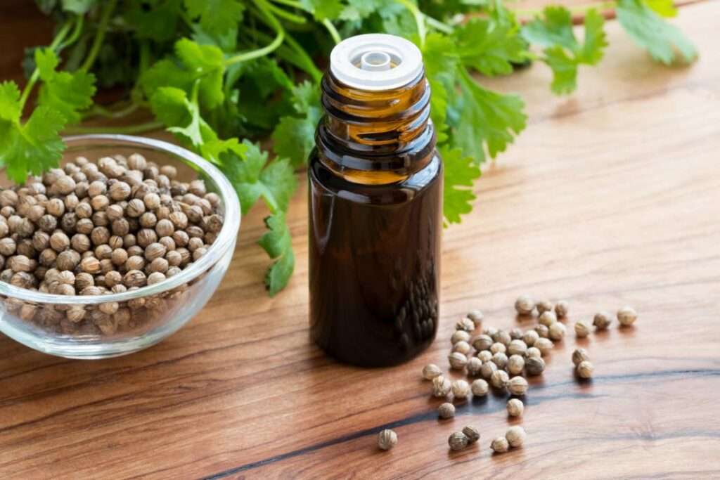 best coriander