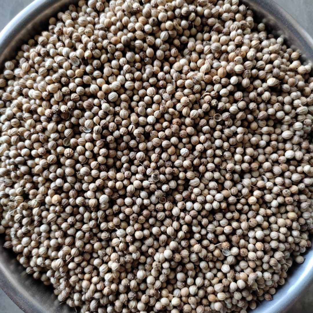 CORIANDER SEEDS Frillco International
